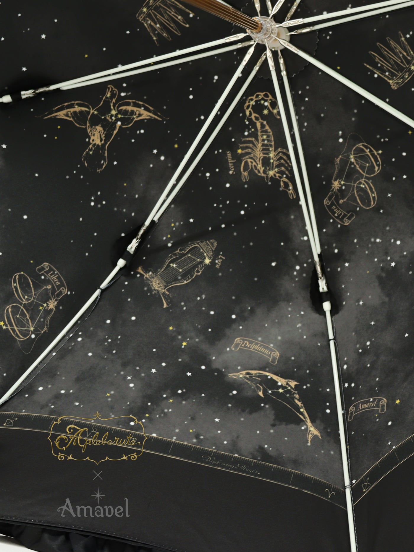 Members Only Asterism Umbrella